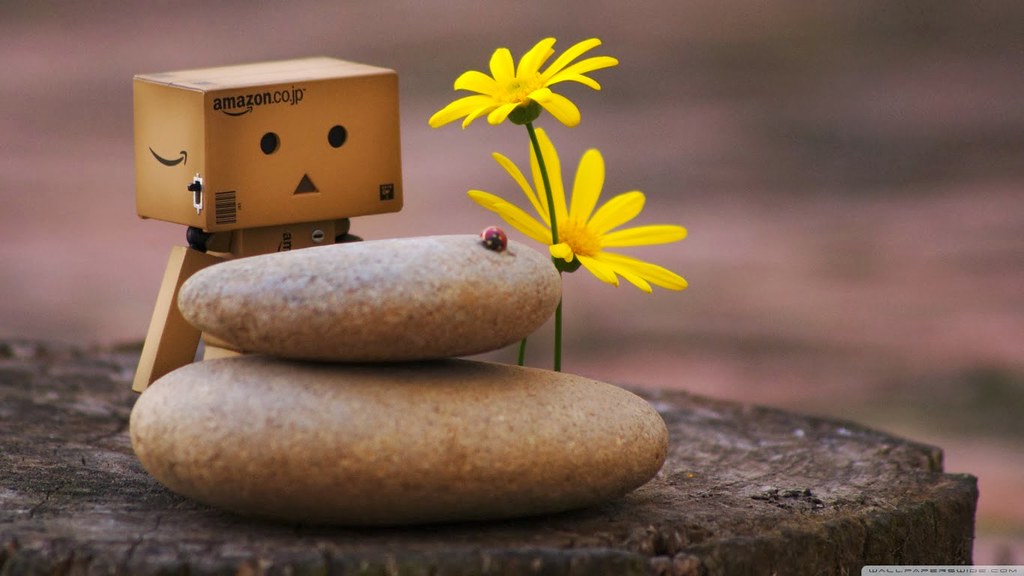 Detail Gambar Wallpaper Danbo Nomer 34