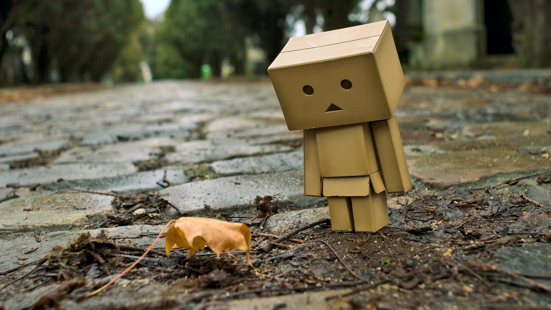 Detail Gambar Wallpaper Danbo Nomer 37