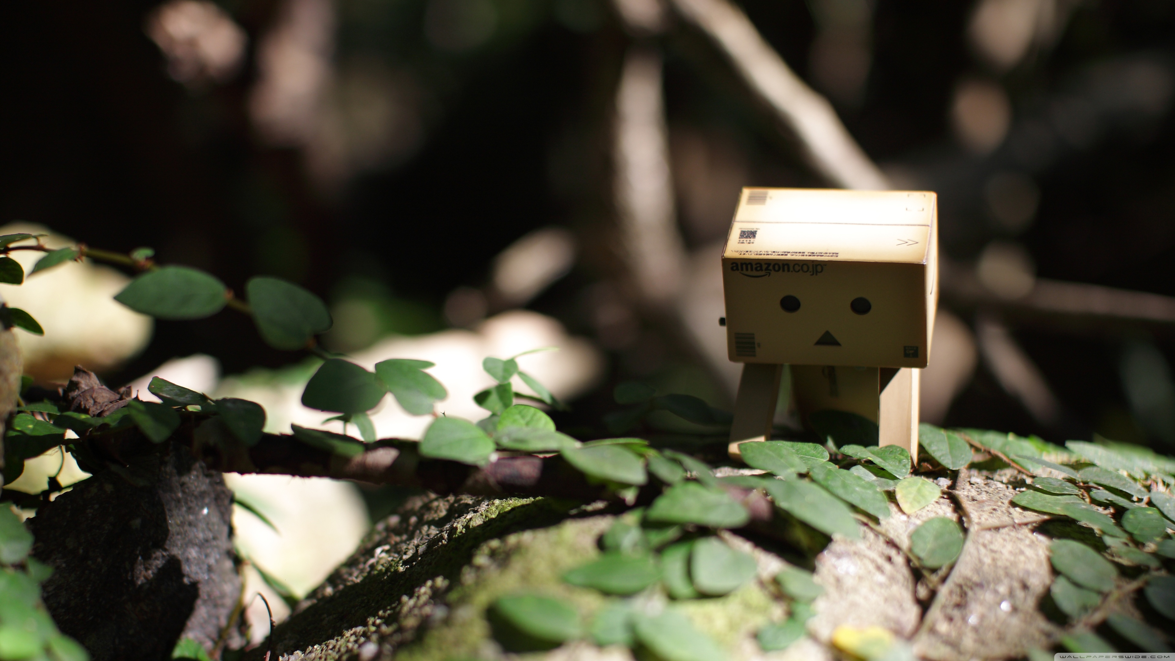 Detail Gambar Wallpaper Danbo Nomer 58