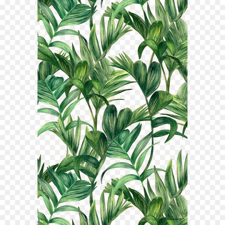 Detail Gambar Wallpaper Daun Hijau Nomer 3