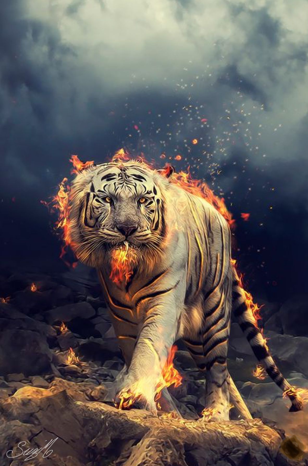 Detail Gambar Wallpaper Harimau Nomer 3