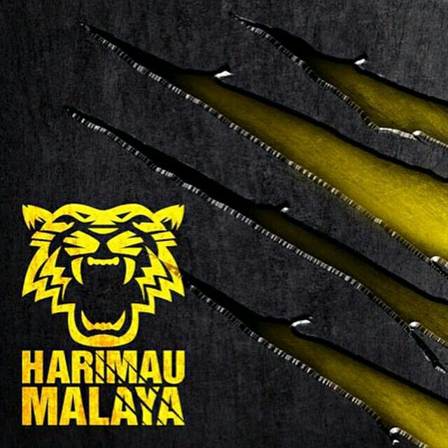 Detail Gambar Wallpaper Harimau Nomer 45