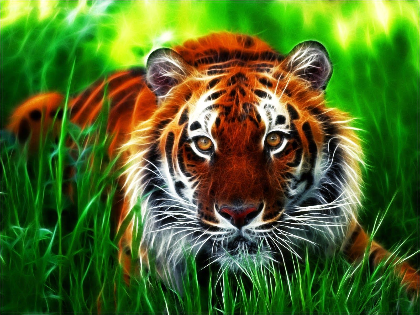 Detail Gambar Wallpaper Harimau Nomer 54