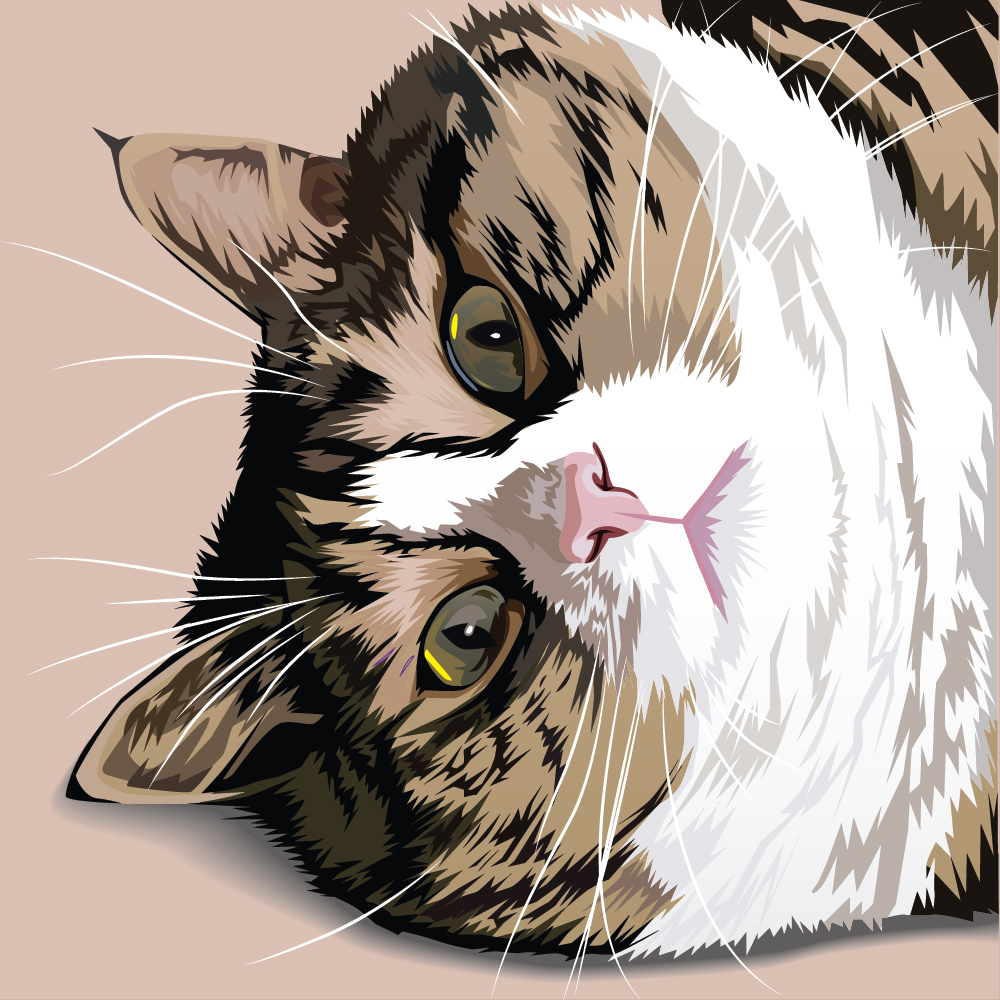 Detail Gambar Wallpaper Kucing Nomer 29