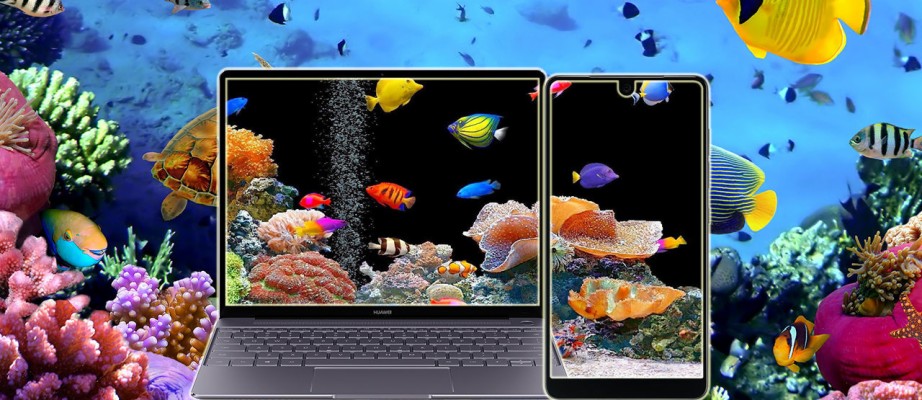 Detail Gambar Wallpaper Laptop Bergerak Nomer 56