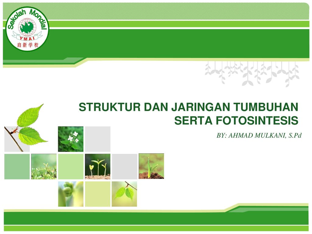 Detail Gambar Wallpaper Ppt Struktur Nomer 24