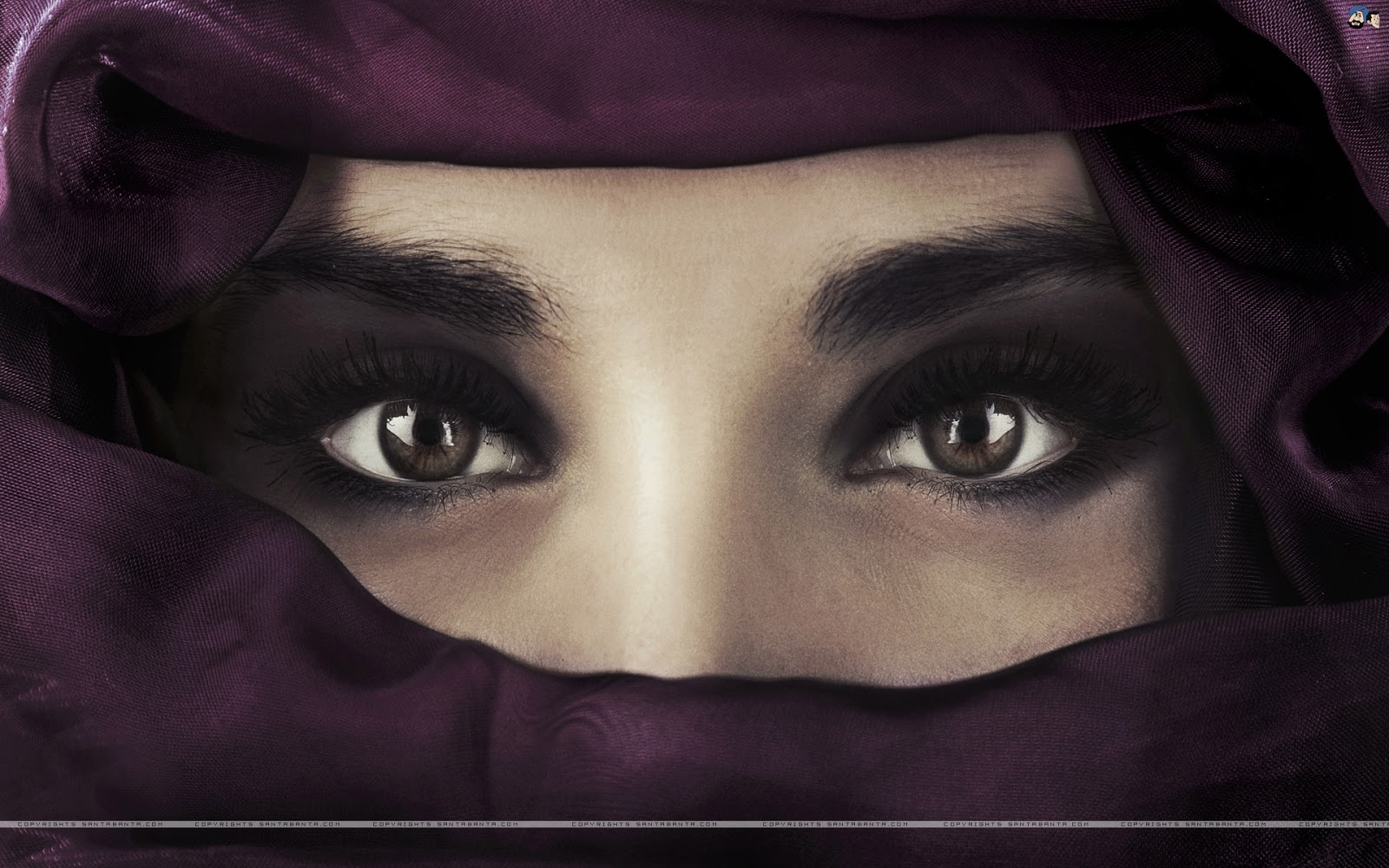 Detail Gambar Wanita Arab Bercadar Nomer 32