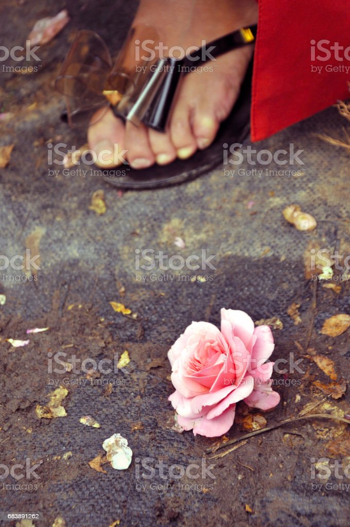 Detail Gambar Wanita Dan Bunga Mawar Nomer 35