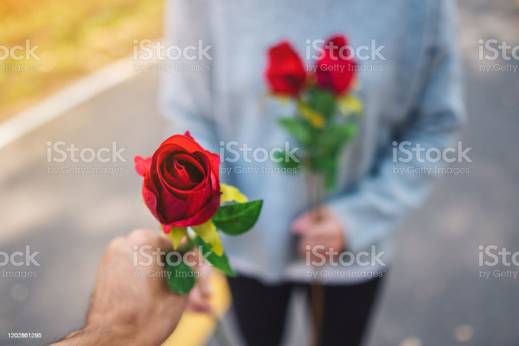 Detail Gambar Wanita Dan Bunga Mawar Nomer 9