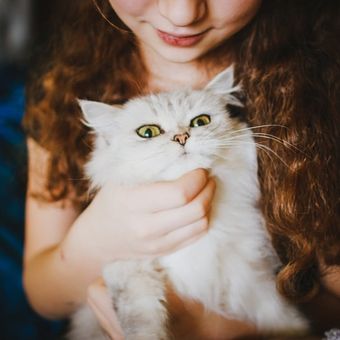 Detail Gambar Wanita Diantara Dua Kucing Nomer 15