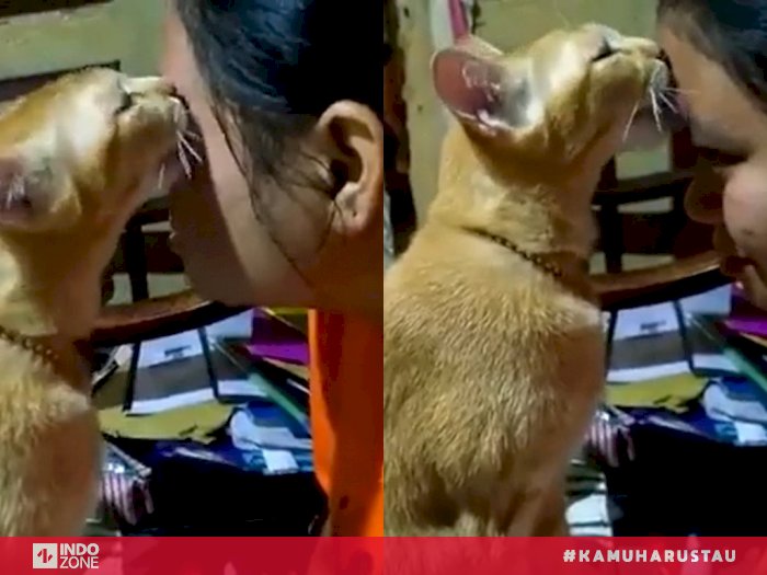 Detail Gambar Wanita Diantara Kucing Nomer 25