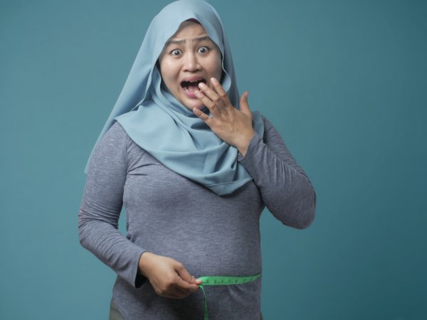 Detail Gambar Wanita Gemuk Nomer 31