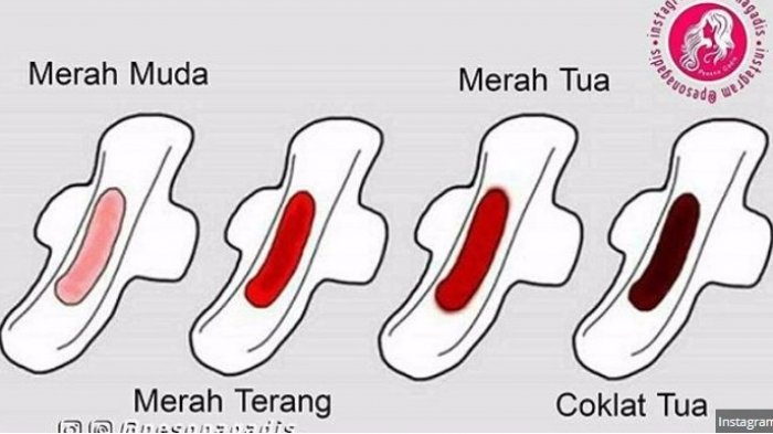 Detail Gambar Wanita Menstruasi Nomer 38