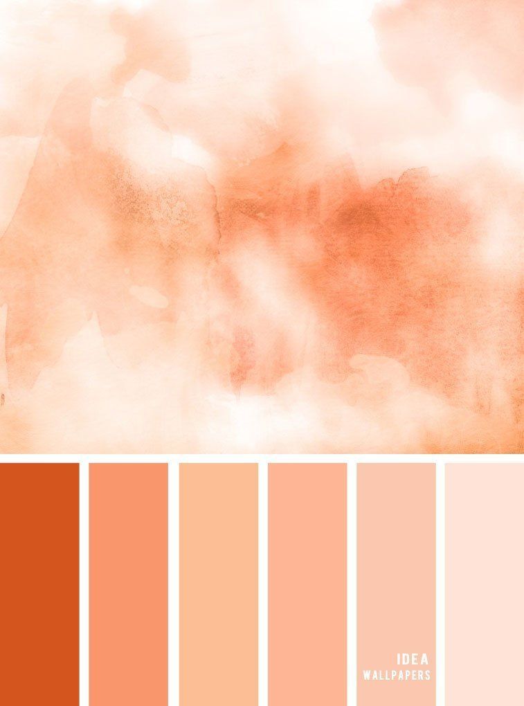 Detail Gambar Warna Peach Nomer 3