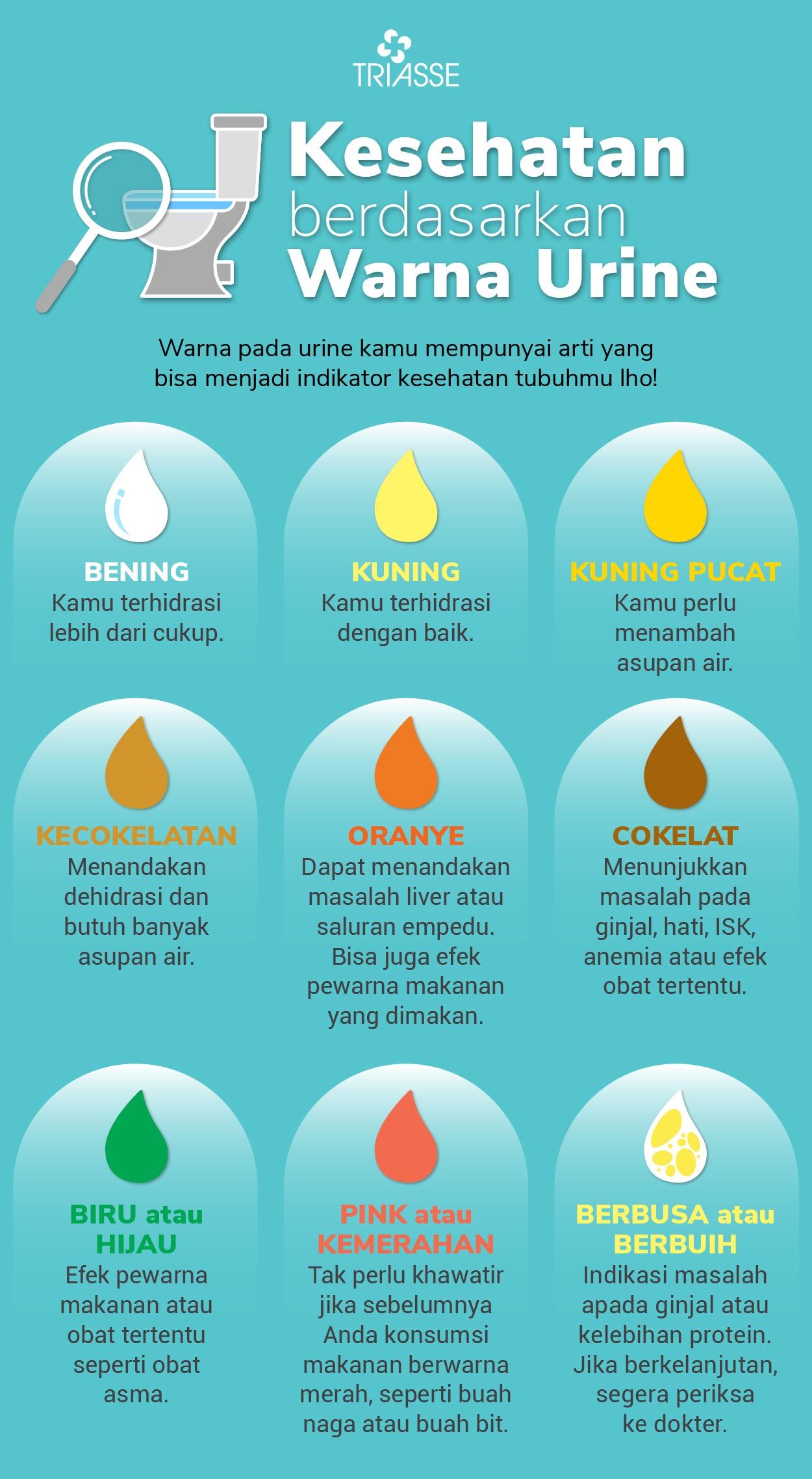 Detail Gambar Warna Urine Nomer 19