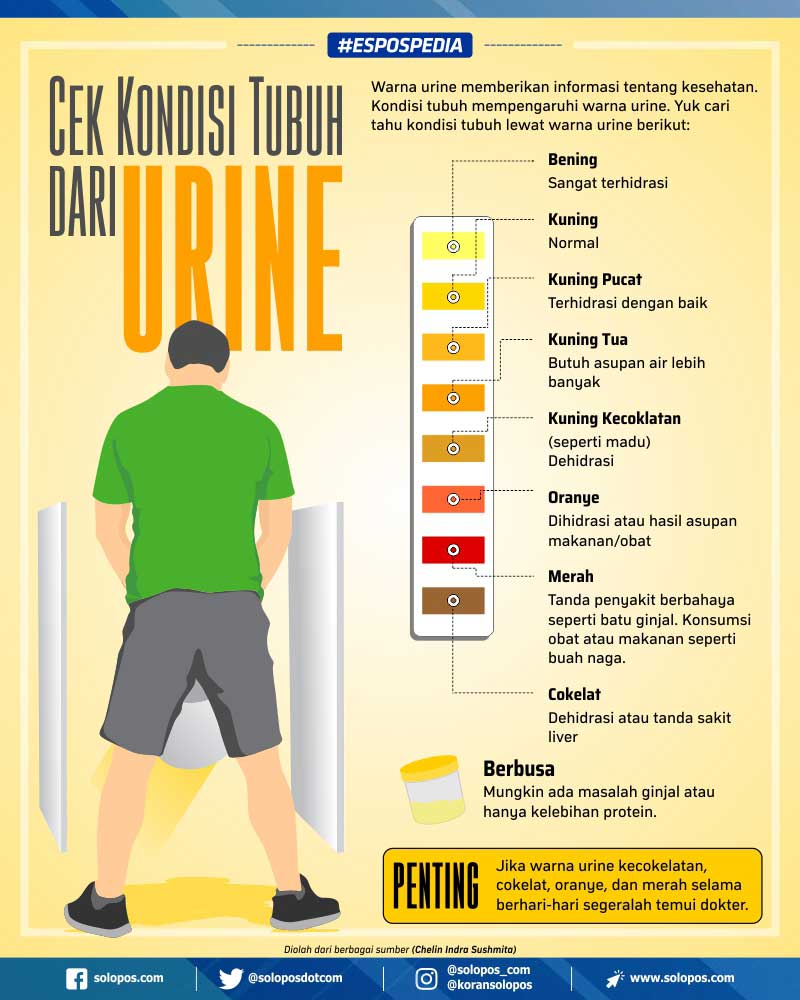 Detail Gambar Warna Urine Nomer 20