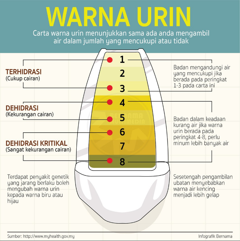 Detail Gambar Warna Urine Nomer 45
