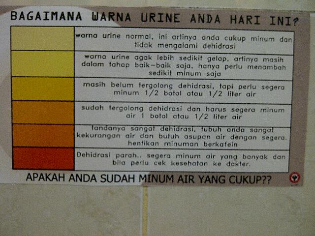 Detail Gambar Warna Urine Nomer 47