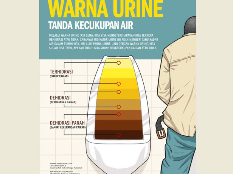 Detail Gambar Warna Urine Nomer 53