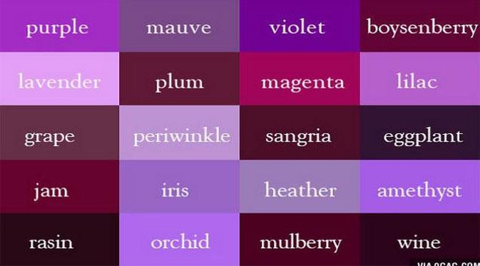 Detail Gambar Warna Violet Nomer 14