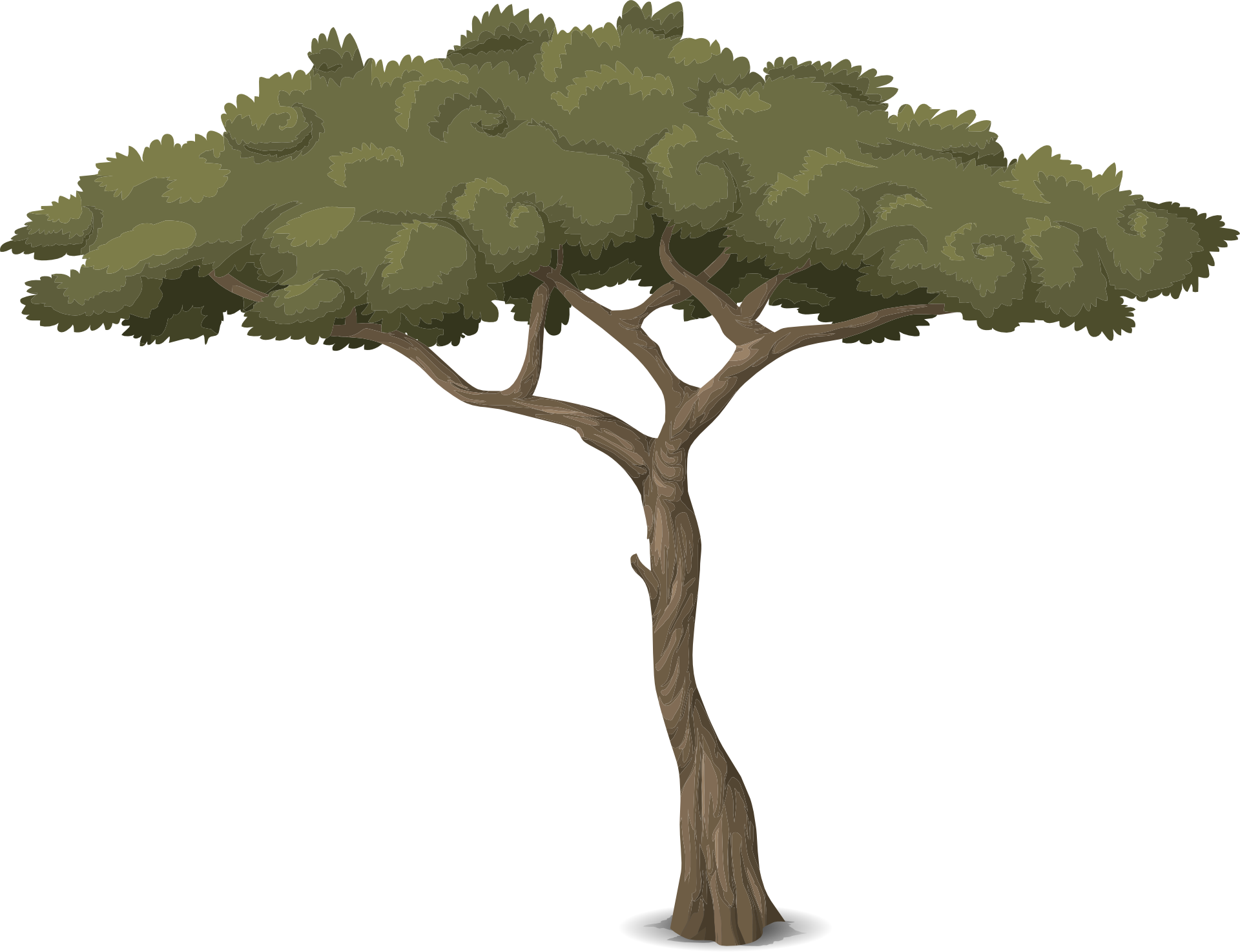 Detail Baum Grafik Nomer 3