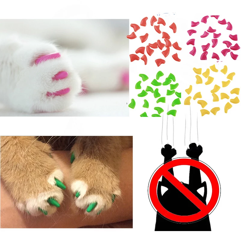 Detail Katzenkrallen Bilder Nomer 24