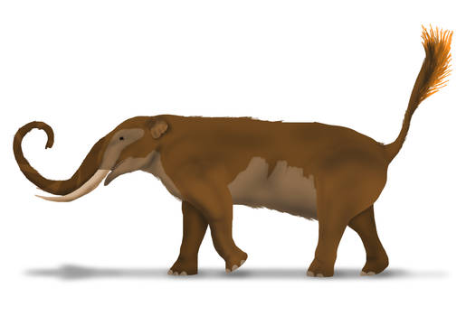 Detail Mammut Clipart Nomer 5