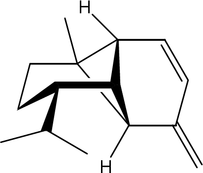 Detail Natriumchlorid Strukturformel Nomer 13