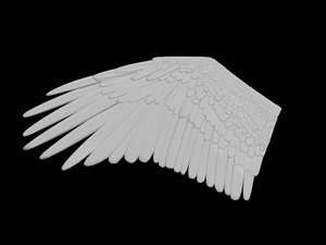 Detail Wings 3d Tutorial Deutsch Nomer 12