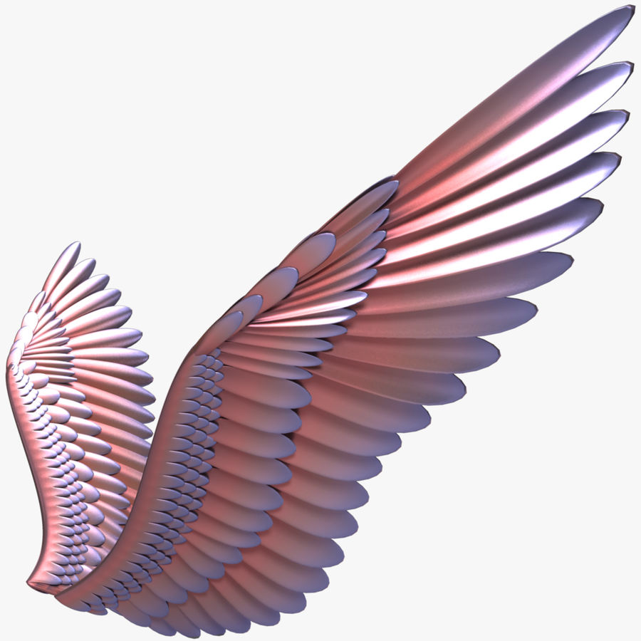 Detail Wings 3d Tutorial Deutsch Nomer 2