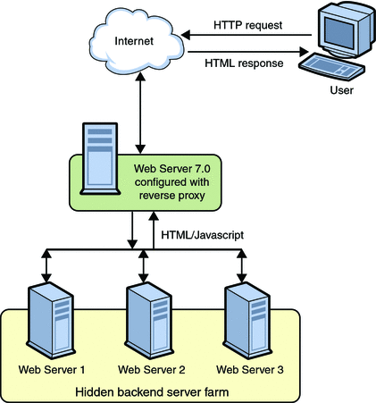 Detail Gambar Web Server Nomer 30