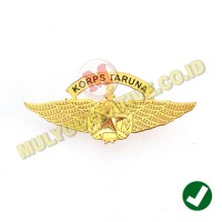 Detail Gambar Wings Sekolah Ketarunaan Nomer 15