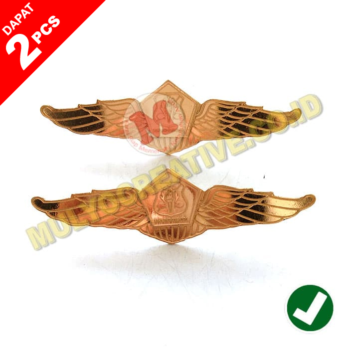 Detail Gambar Wings Sekolah Ketarunaan Nomer 36