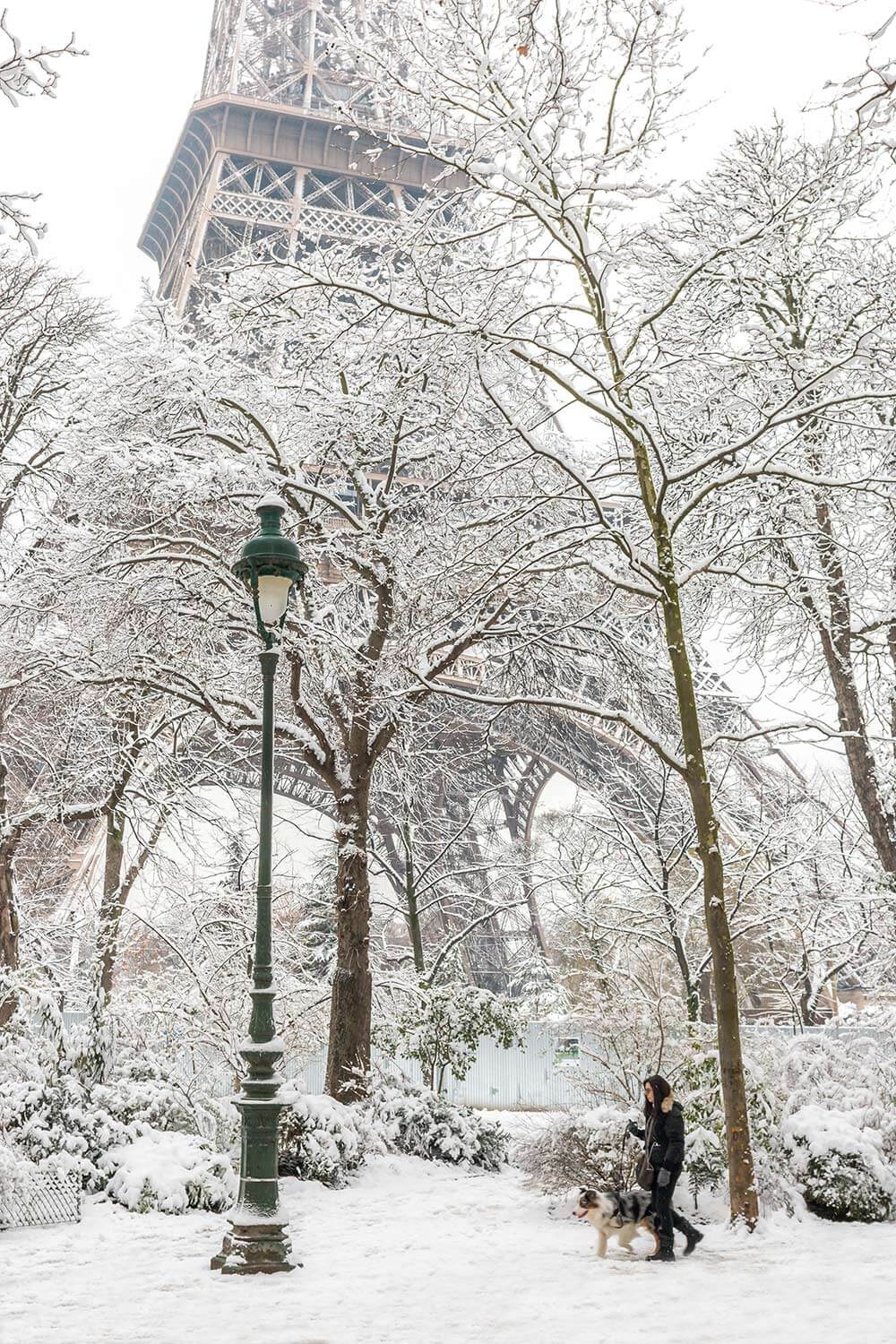Detail Gambar Winter Paris Nomer 19