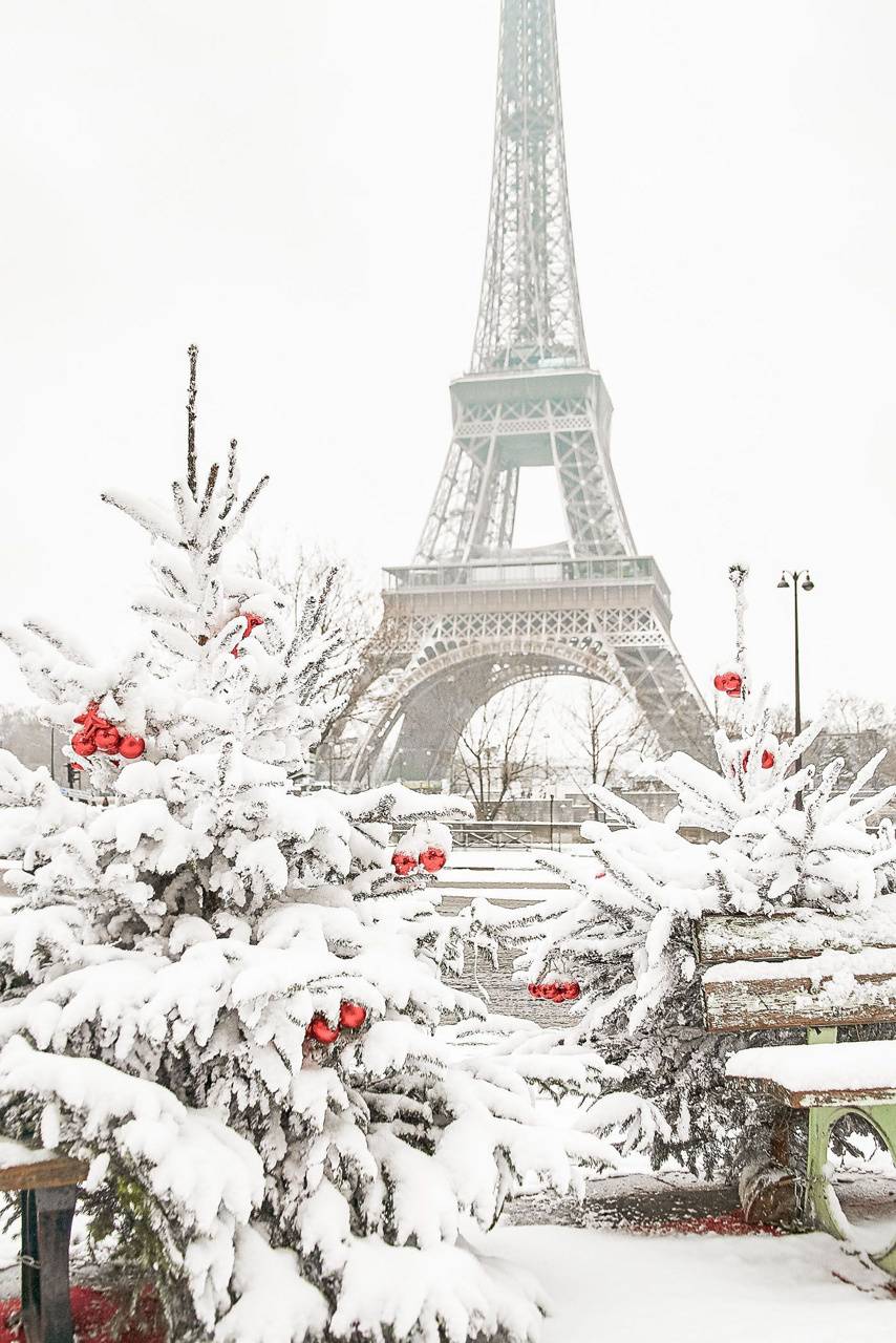 Detail Gambar Winter Paris Nomer 50