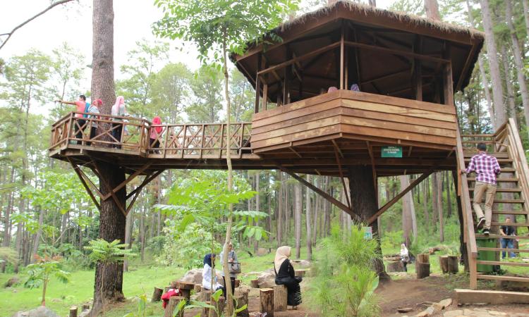 Gambar Wisata Di Jawa Barat Gambar Rumah Pohon - KibrisPDR