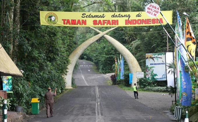 Detail Gambar Wisata Di Jawa Barat Gambar Rumah Pohon Nomer 50