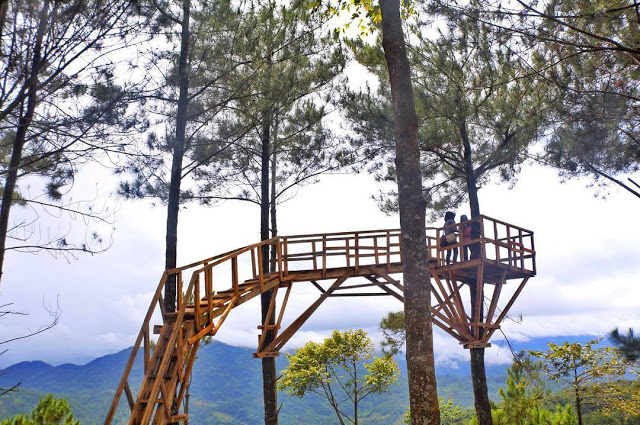 Detail Gambar Wisata Di Jawa Barat Gambar Rumah Pohon Nomer 8