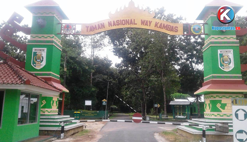 Detail Gambar Wisata Nasional Way Kambas Nomer 42