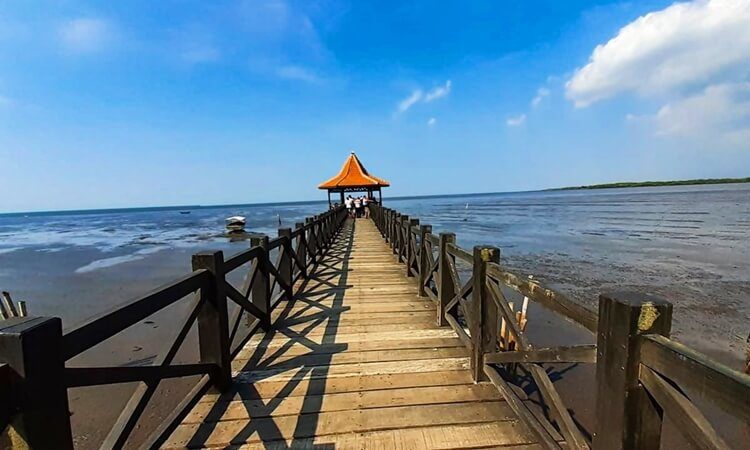 Detail Gambar Wisata Pantai Nomer 26