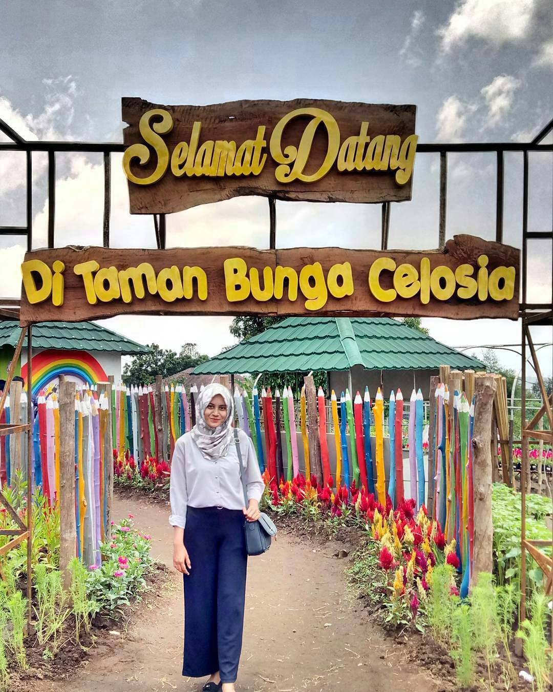 Detail Gambar Wisata Taman Bunga Celosia Semarang Nomer 23