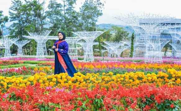 Detail Gambar Wisata Taman Bunga Celosia Semarang Nomer 36