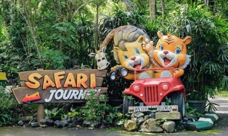 Detail Gambar Wisata Taman Safari Nomer 4