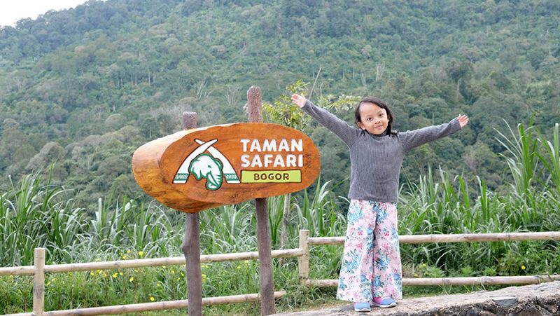 Detail Gambar Wisata Taman Safari Nomer 34