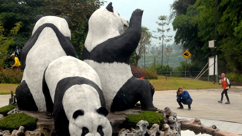 Detail Gambar Wisata Taman Safari Nomer 53