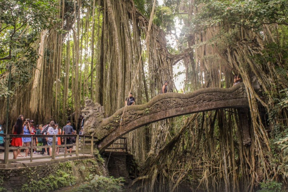 Detail Gambar Wisata Ubud Bali Nomer 37