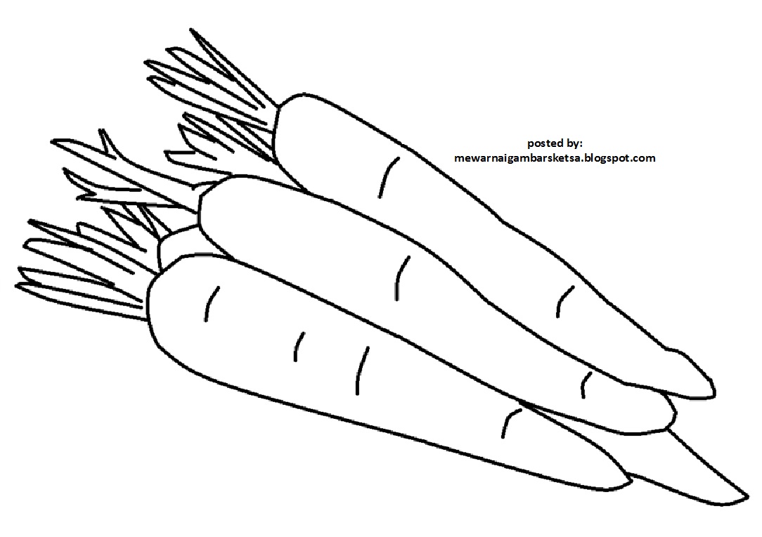 Detail Gambar Wortel Untuk Mewarnai Nomer 34