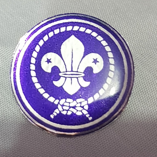 Detail Gambar Wosm Pramuka Nomer 26