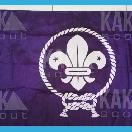Detail Gambar Wosm Pramuka Nomer 32
