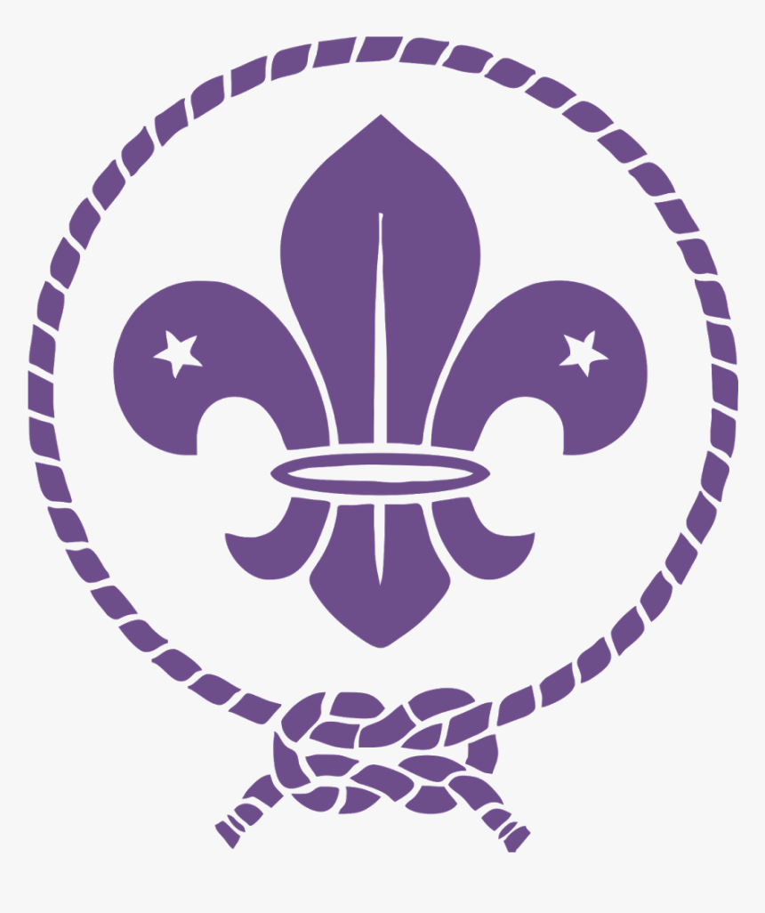 Detail Gambar Wosm Ribbon Vector Nomer 9